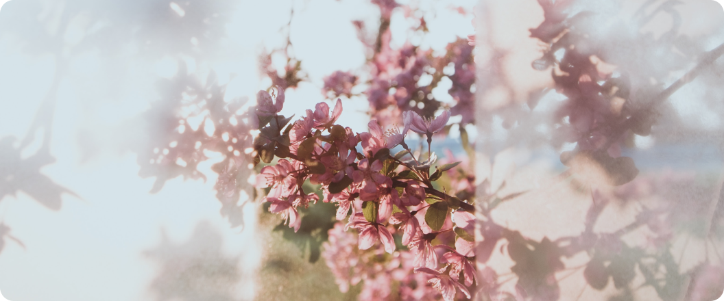 https://d1nwcwsdvx7ar2.cloudfront.net/ncms/mallpie/files/on_boarding/beauty_01_pc.png
